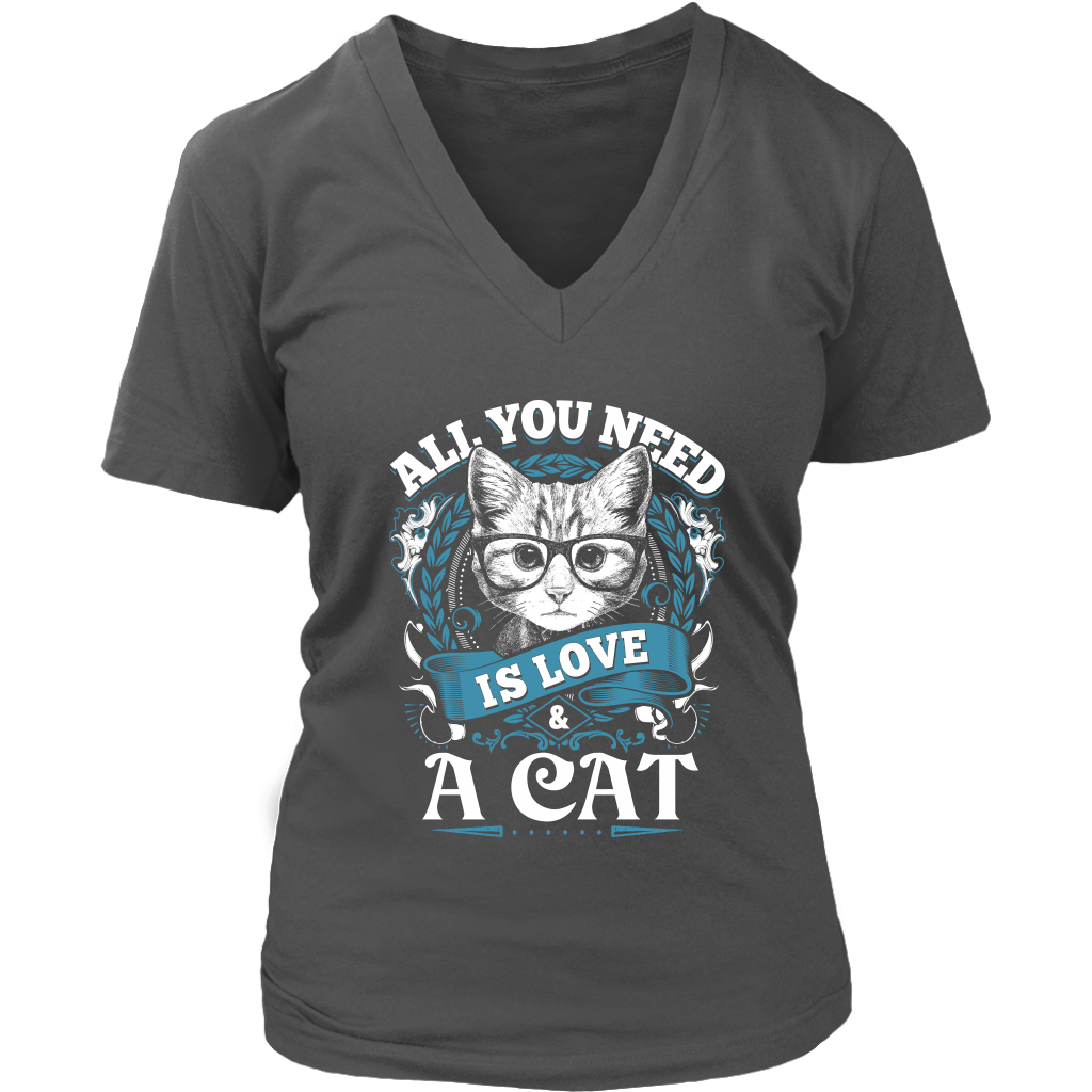 All You Need Is Love & A Cat Women's V-Neck Shirt