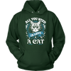 All You Need Is Love & A Cat Hoodie